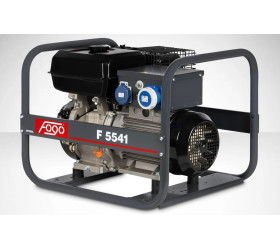 Agregat prądotwórczy FOGO F 5541