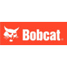 Bobcat